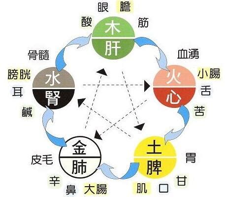 属土的东西|探秘五行学说：土元素的意象与独特属性